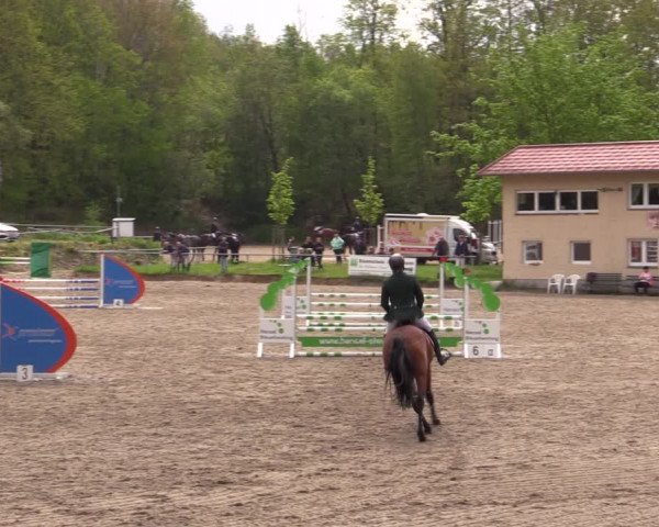 Reitturnier Lgl.-Oberhain, B95 2021
