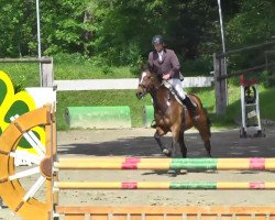 jumper Polytano 2 (Rhinelander, 1998, from Polidiktus van de Helle)