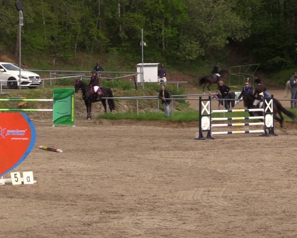 Reitturnier Lgl.-Oberhain, B95 2021
