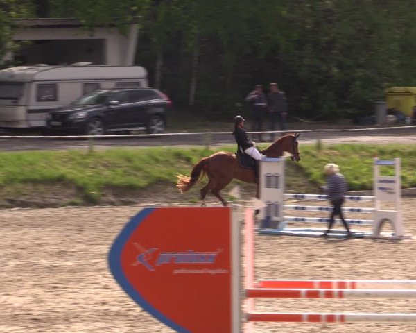 Reitturnier Lgl.-Oberhain, B95 2021