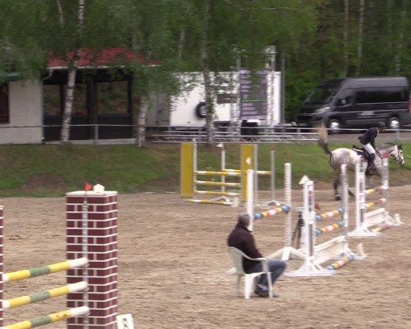 Reitturnier Lgl.-Oberhain, B95 2021