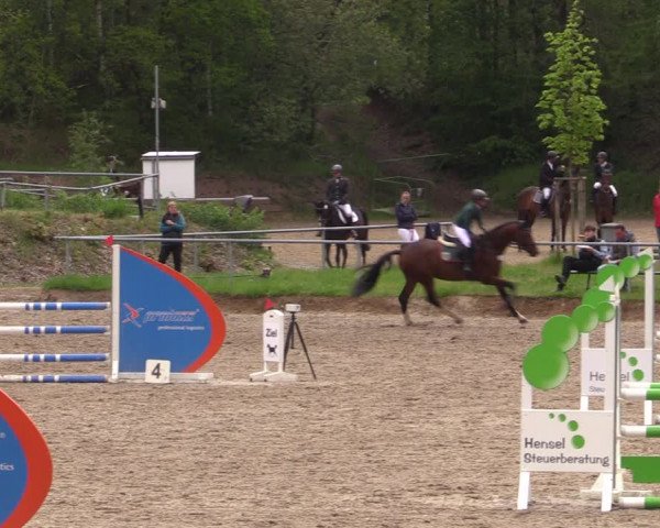 Reitturnier Lgl.-Oberhain, B95 2021