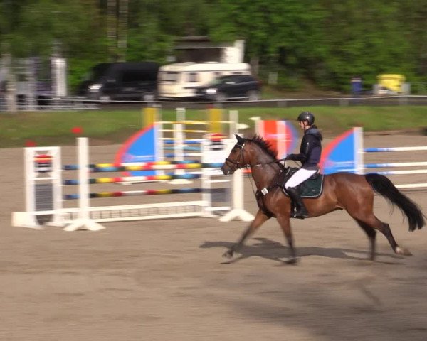 Reitturnier Lgl.-Oberhain, B95 2021