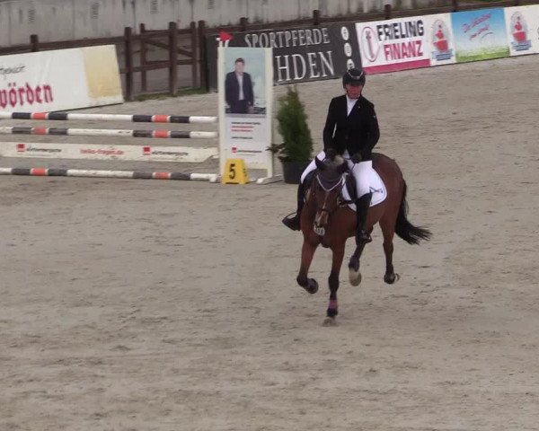 Reitturnier Westergellersen 2021