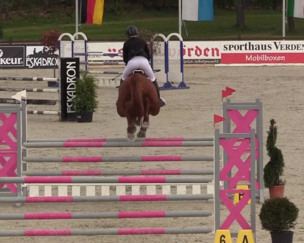 Reitturnier Westergellersen 2021