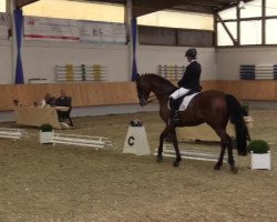 dressage horse Delany Dee (Westphalian, 2000, from Dimension)