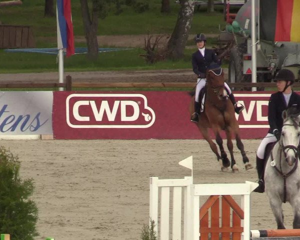 Reitturnier Westergellersen 2021