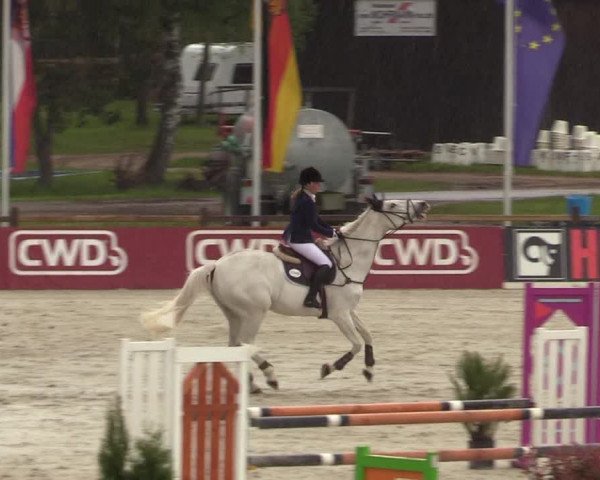 Reitturnier Westergellersen 2021