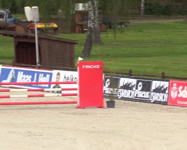 Reitturnier Westergellersen 2021