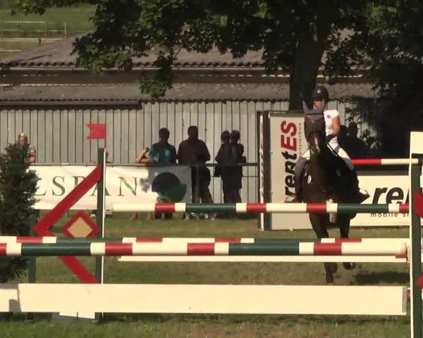 Springpferd Balou 611 (Westfale, 2003, von Baldini II)