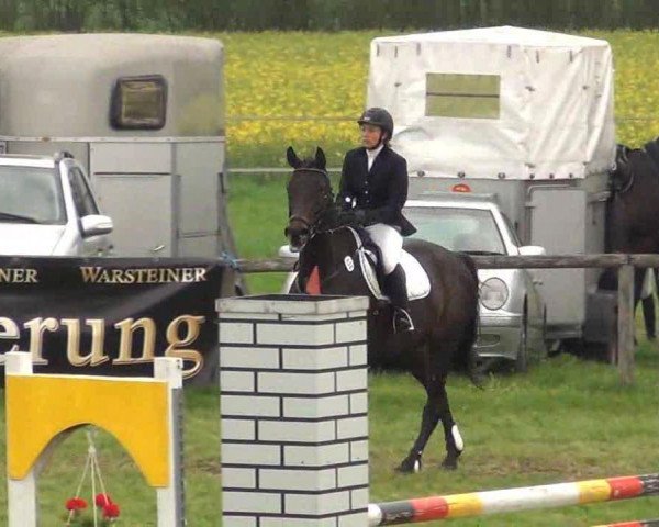 jumper Laguna (Westphalian, 2002, from Leonid)