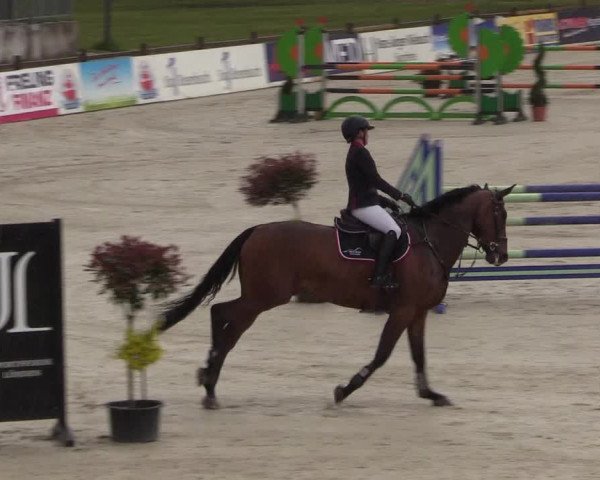 Reitturnier Westergellersen 2021