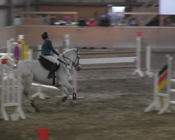 jumper Edeka's La Cherie (Holsteiner, 2001, from Lancer II)