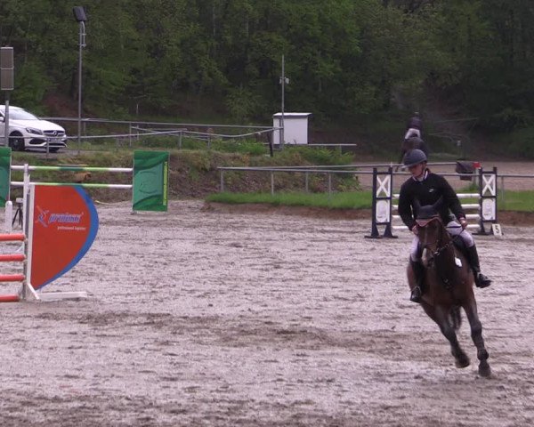 Reitturnier Lgl.-Oberhain, B95 2021