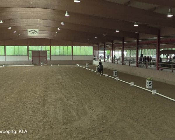 Reitturnier Borken-Gestüt Forellenhof 2021