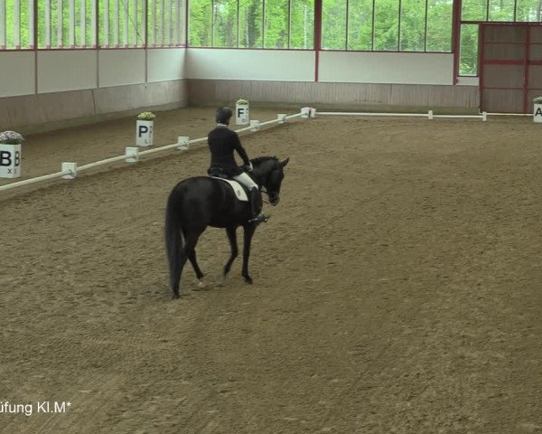 Reitturnier Borken-Gestüt Forellenhof 2021