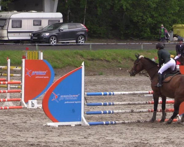 Reitturnier Lgl.-Oberhain, B95 2021