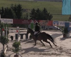 jumper Lakucki (Rhinelander, 1998, from Lehnsherr GL)