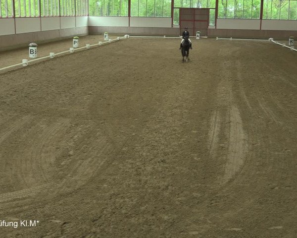 Reitturnier Borken-Gestüt Forellenhof 2021
