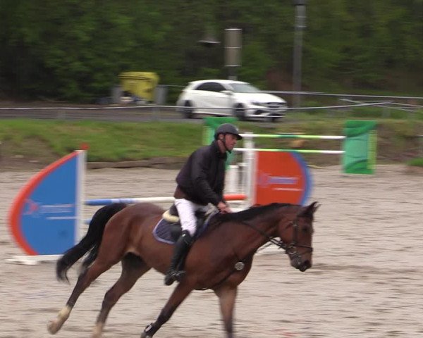 Reitturnier Lgl.-Oberhain, B95 2021