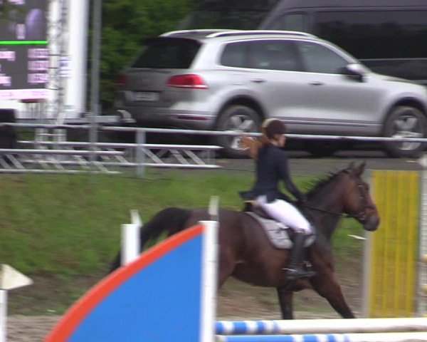 Reitturnier Lgl.-Oberhain, B95 2021
