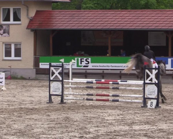 Reitturnier Lgl.-Oberhain, B95 2021