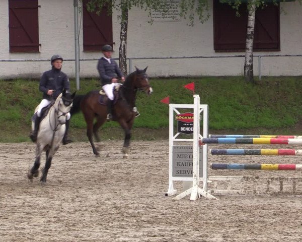 Reitturnier Lgl.-Oberhain, B95 2021