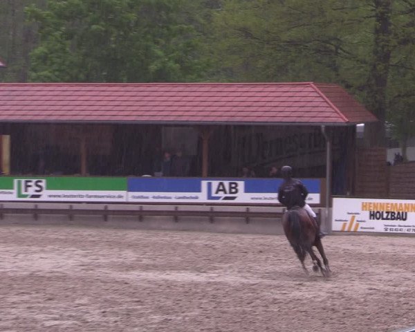 Reitturnier Lgl.-Oberhain, B95 2021