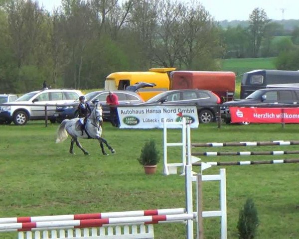 jumper Chris 43 (Holsteiner, 2003, from Claudio's Son)