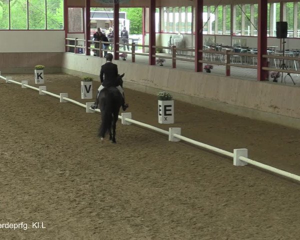 Reitturnier Borken-Gestüt Forellenhof 2021