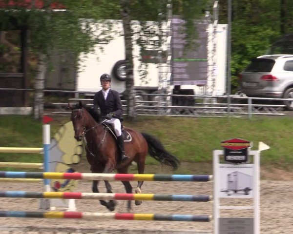 Reitturnier Lgl.-Oberhain, B95 2021