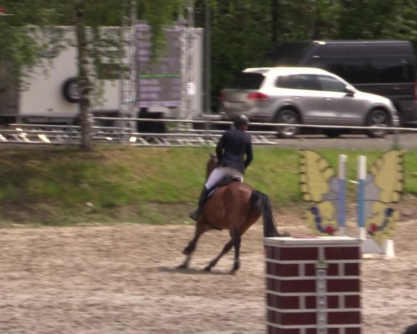 Reitturnier Lgl.-Oberhain, B95 2021