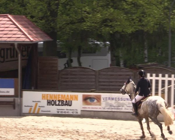 Reitturnier Lgl.-Oberhain, B95 2021