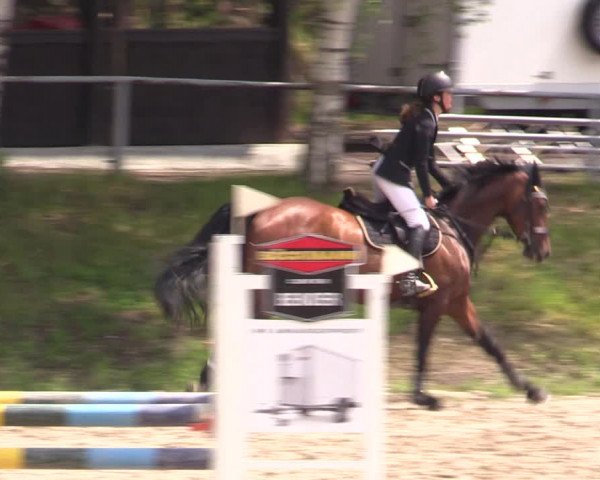 Reitturnier Lgl.-Oberhain, B95 2021