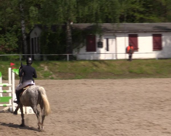 Reitturnier Lgl.-Oberhain, B95 2021