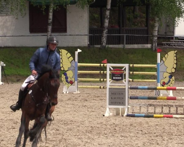 Reitturnier Lgl.-Oberhain, B95 2021