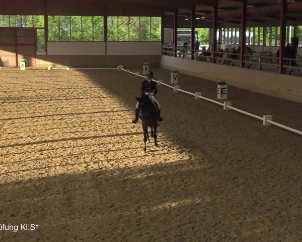 Reitturnier Borken-Gestüt Forellenhof 2021