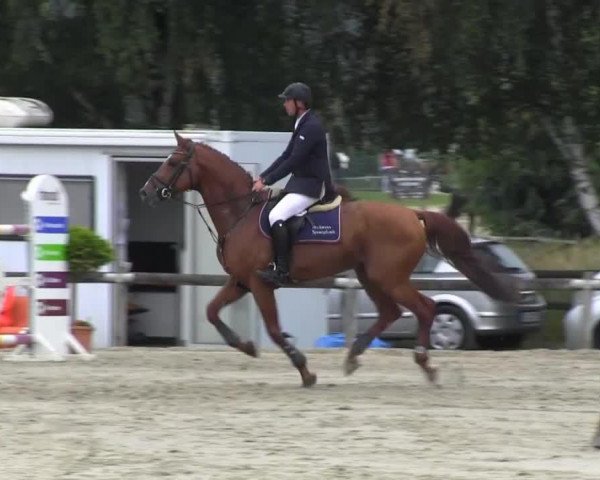 Deckhengst For good Feeling (Hannoveraner, 2003, von For Feeling)