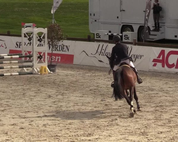 Reitturnier Westergellersen 2021