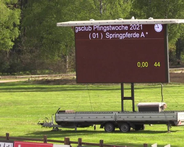 Reitturnier Westergellersen 2021