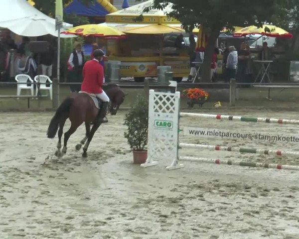 jumper Enso (Westphalian, 2003, from Epilot)
