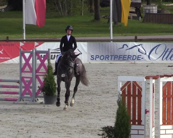 Reitturnier Westergellersen 2021