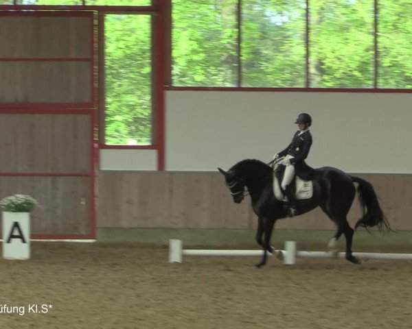 Reitturnier Borken-Gestüt Forellenhof 2021