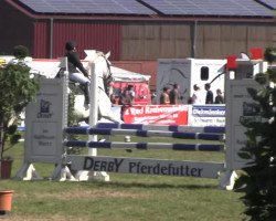 jumper Chentano 3 (Westphalian, 2005, from Condato)