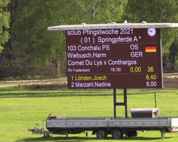 Reitturnier Westergellersen 2021