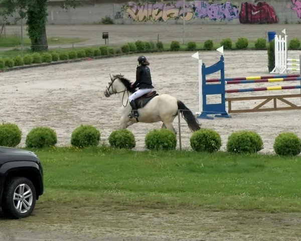 Reitturnier Basel Schänzli 2021