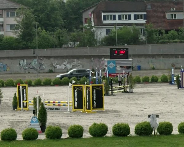 Reitturnier Basel Schänzli 2021