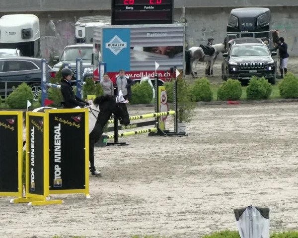 Reitturnier Basel Schänzli 2021