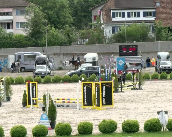 Reitturnier Basel Schänzli 2021