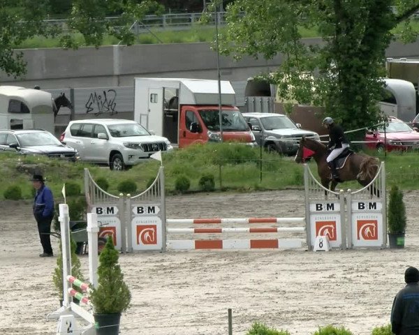 Reitturnier Basel Schänzli 2021